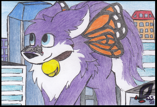 Nov22_10_MantaPanther_2.png