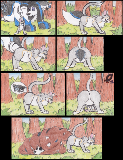 Wolly_Storage_Scat.png