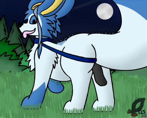 walkies_3_manta.png