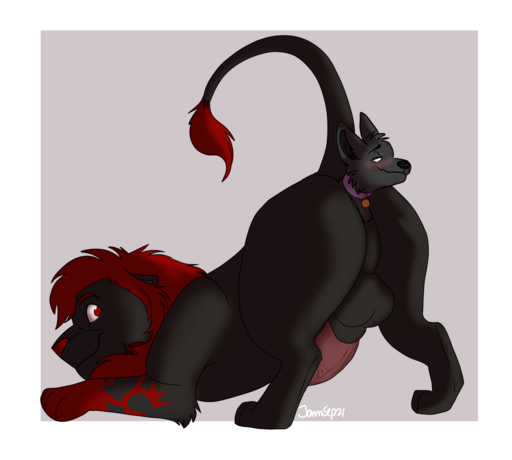 kovubutt ych manta.png
